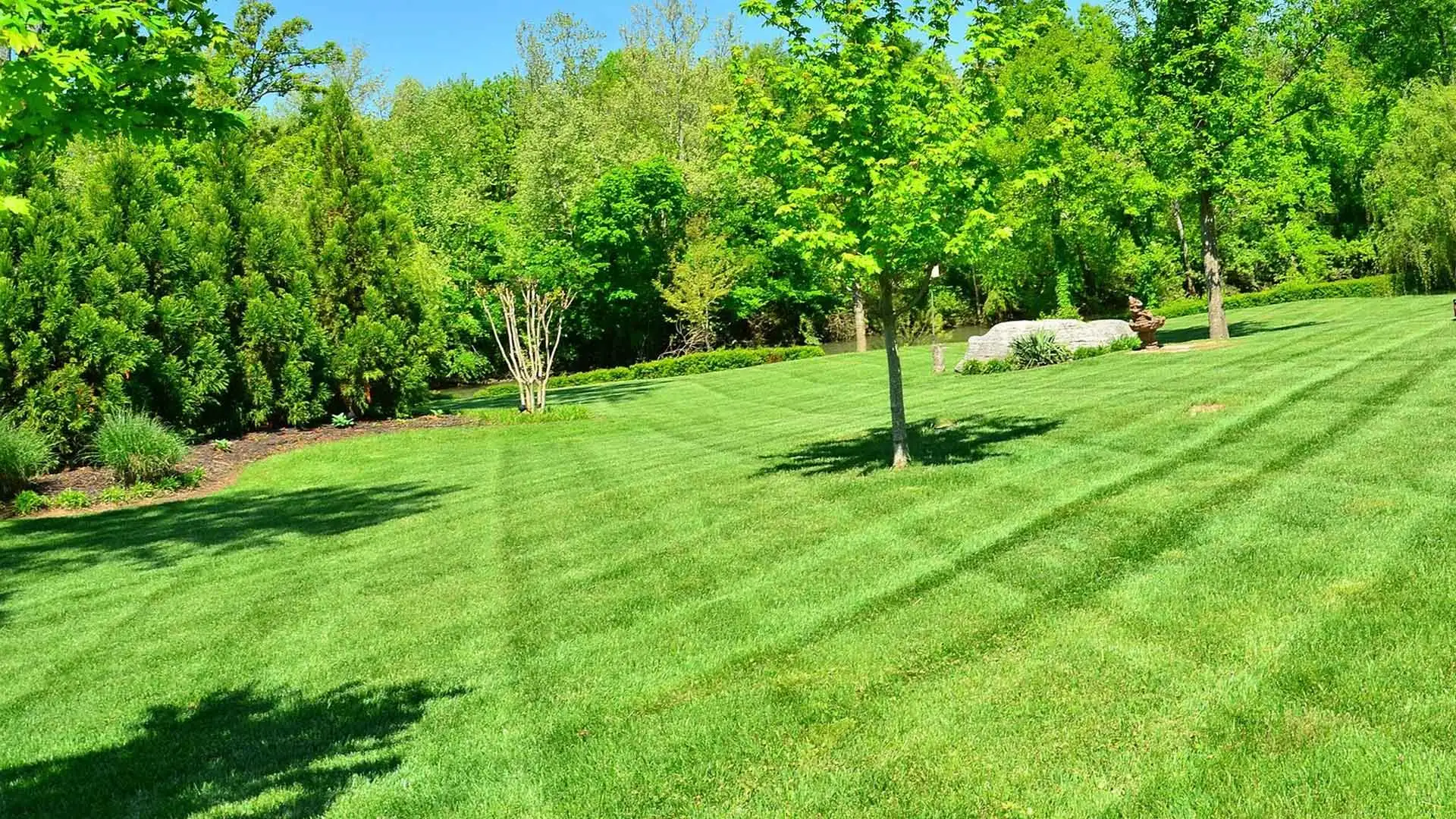 A large lawn in Carmel being mowed regularly by Sprout Lawn & Landscape.