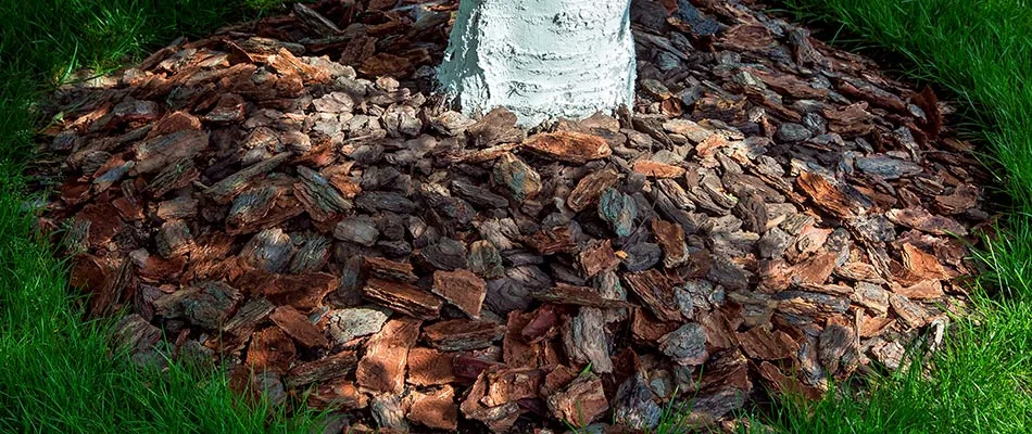 A landscape bed topped with brown bark chip mulch on a property in Carmel, IN.