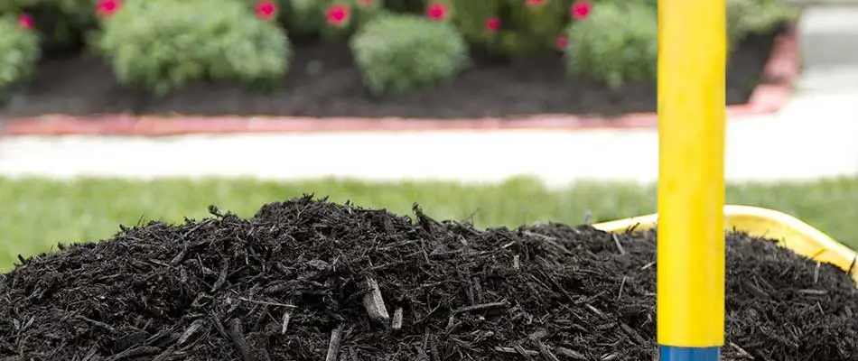 Installing mulch in a landscape bed in Noblesville, IN.