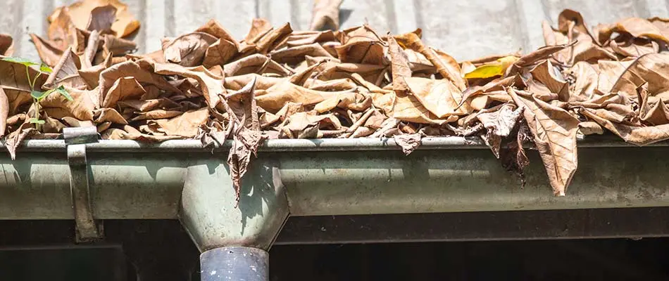 A clogged gutter in need of a cleaning in Noblesville, IN.