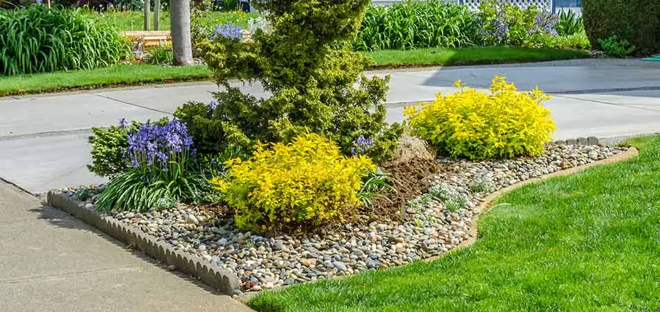 Reshaping landscape beds has been keeping our crews busy throughout Carmel.