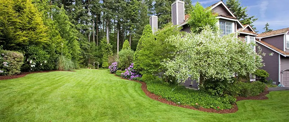 This landscaped lawn in Westfield uses routine weed control treatments.