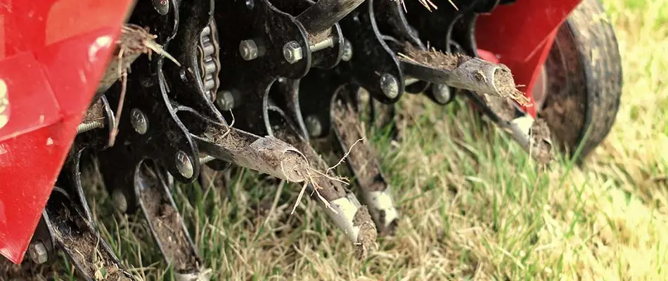 Close up photo of lawn aeration services at a Carmel, IN home.