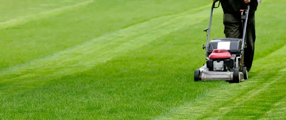 Lawn mowing services in Carmel, IN.