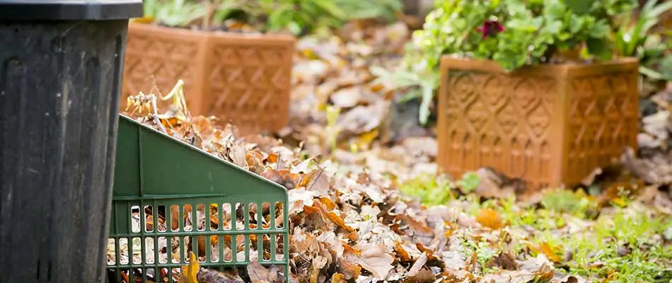 Leaves cluttering a home lawn in Carmel, IN.