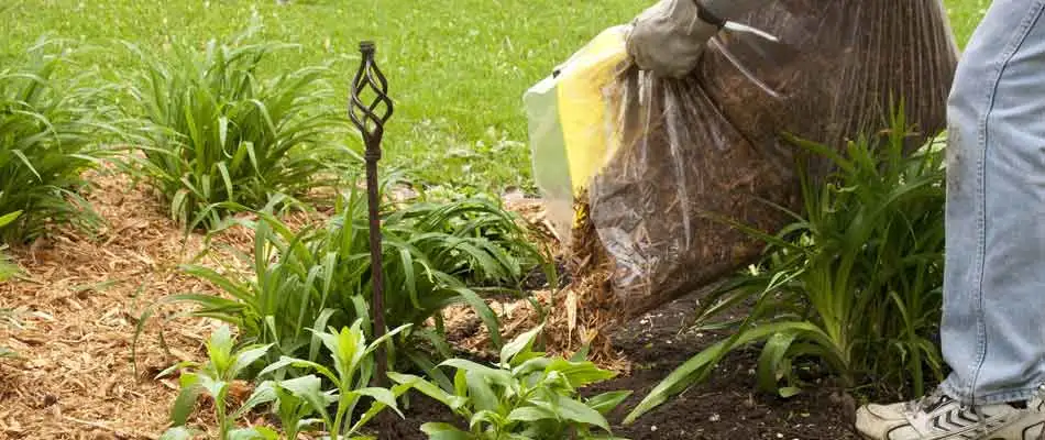 New mulch installed in a landscape bed in Noblesville, IN.