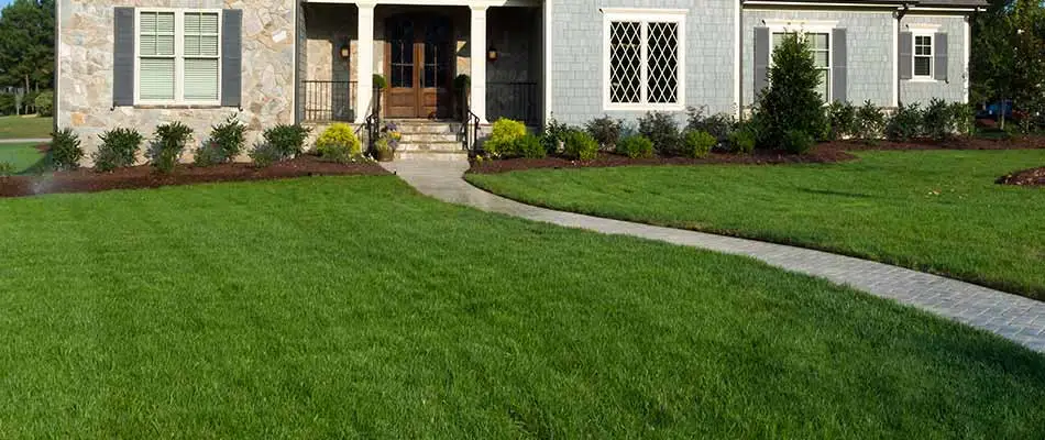 Well fertilized home lawn in Carmel, IN.