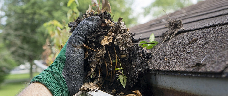 A specialist cleaning out a gutter to reduce mosquitos by a home in Carmel, IN. 