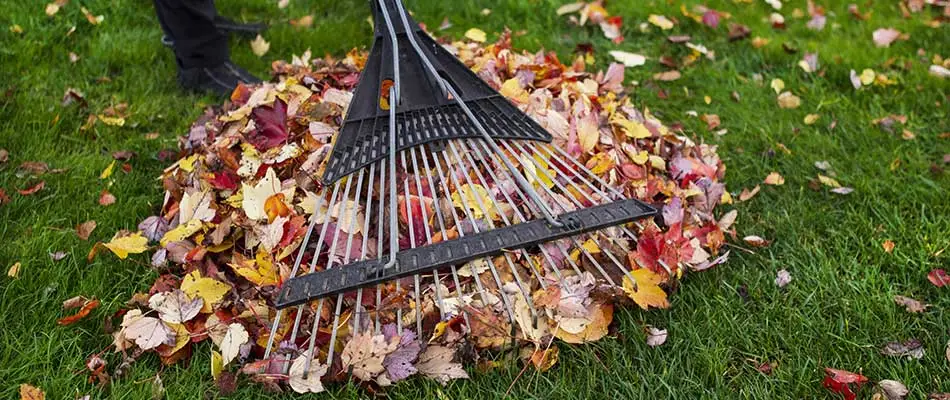 Fall leaves being raked up at a home in Noblesville, IN.