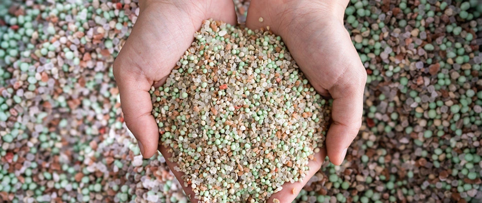 Handfuls of granular fertilizer in Noblesville, IN.