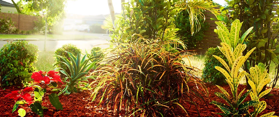 A landscape bed topped with red mulch in Fishers, IN. 