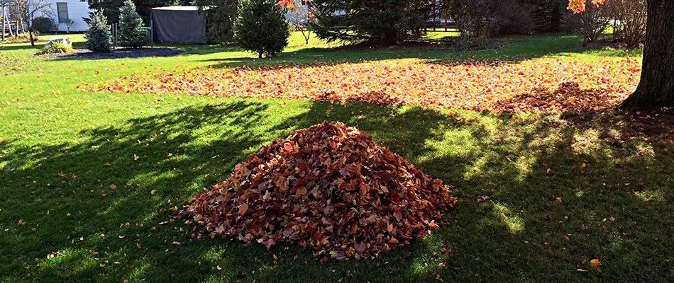 A backyard covered in leaf piles behind a home in Carmel, IN.