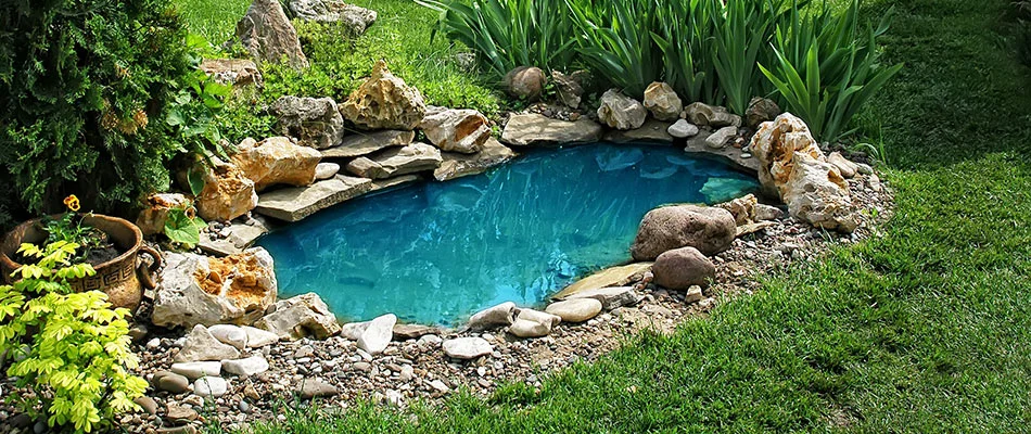 A man made pond with no water circulation behind a home in Westfield, IN. 