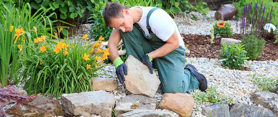 Our landscape professional installing boulders alongside yellow flowers in Westfield, IN. 