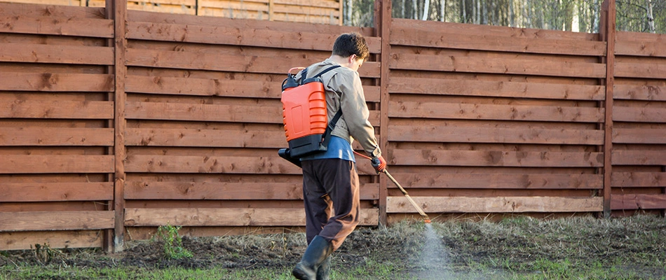 Professional spraying mosquito control treatment to areas of a lawn in Carmel, IN.