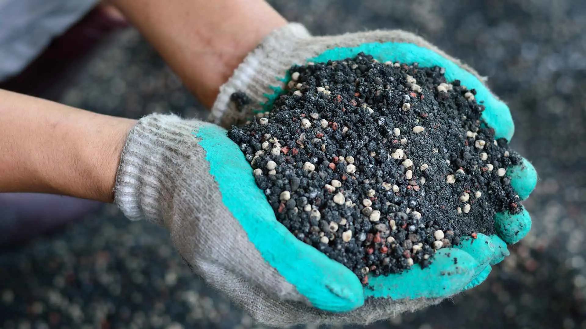 Fertilizer being applied to a lawn in Noblesville IN