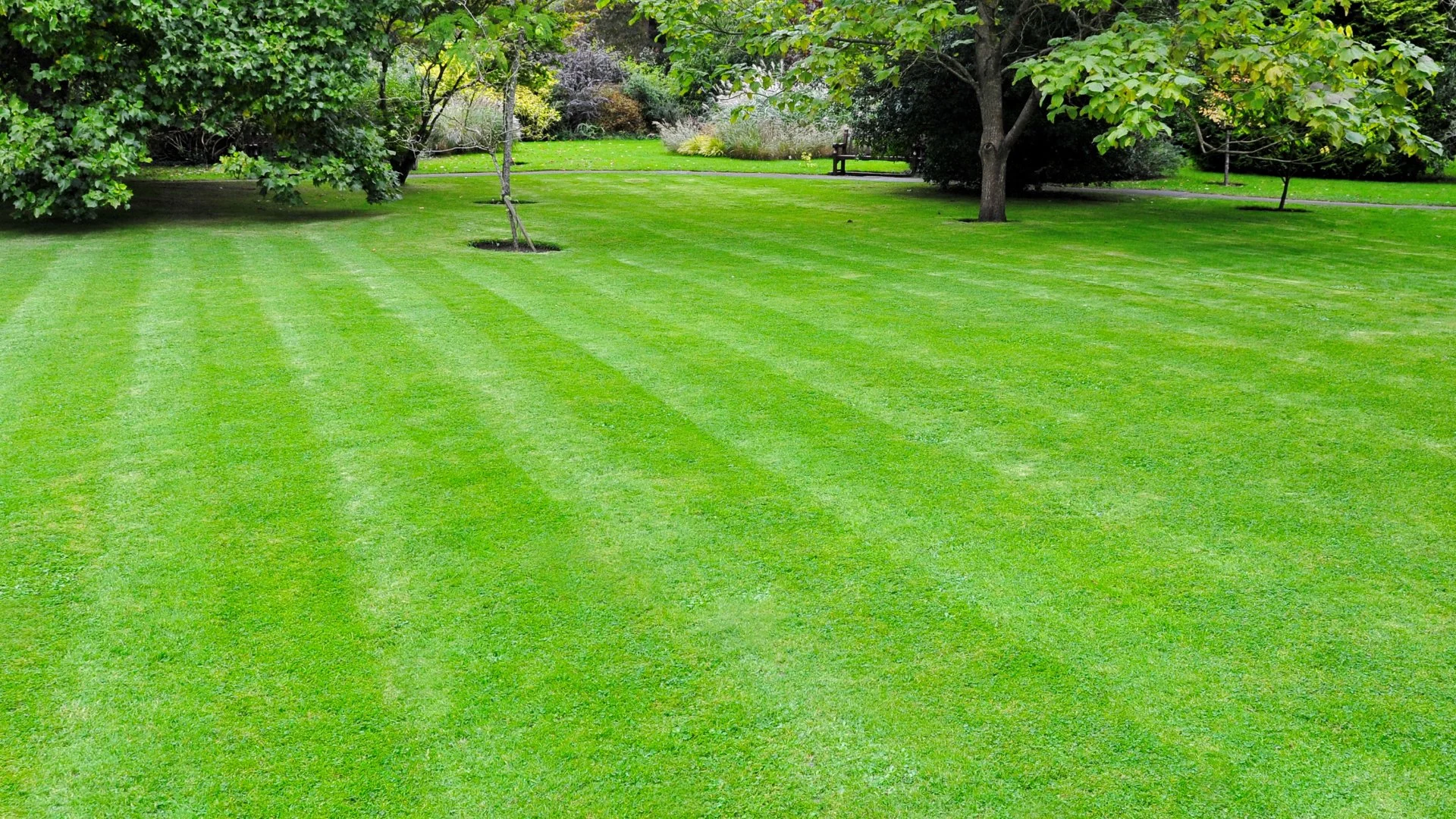 Lawn care and landscaping in McCordsville IN