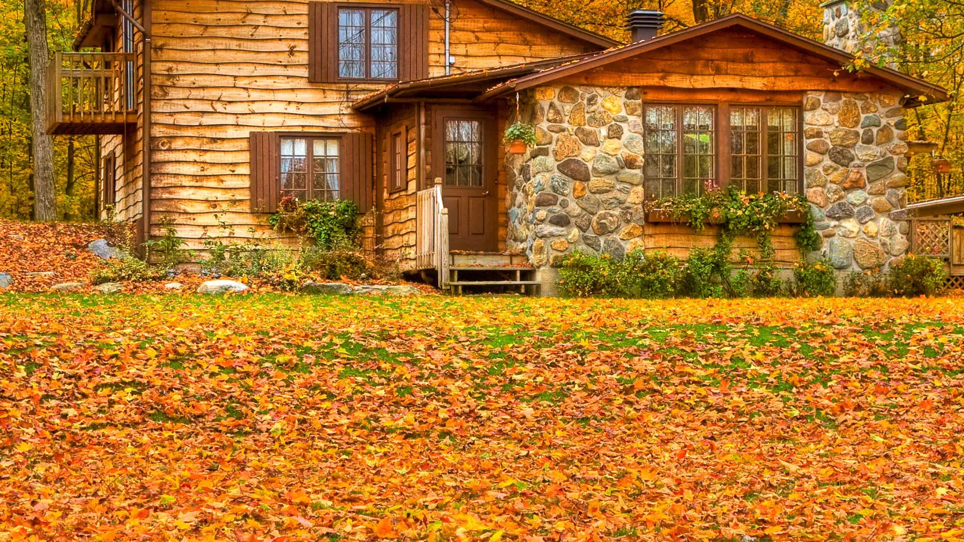 Home covered in fall leaves needing cleanup