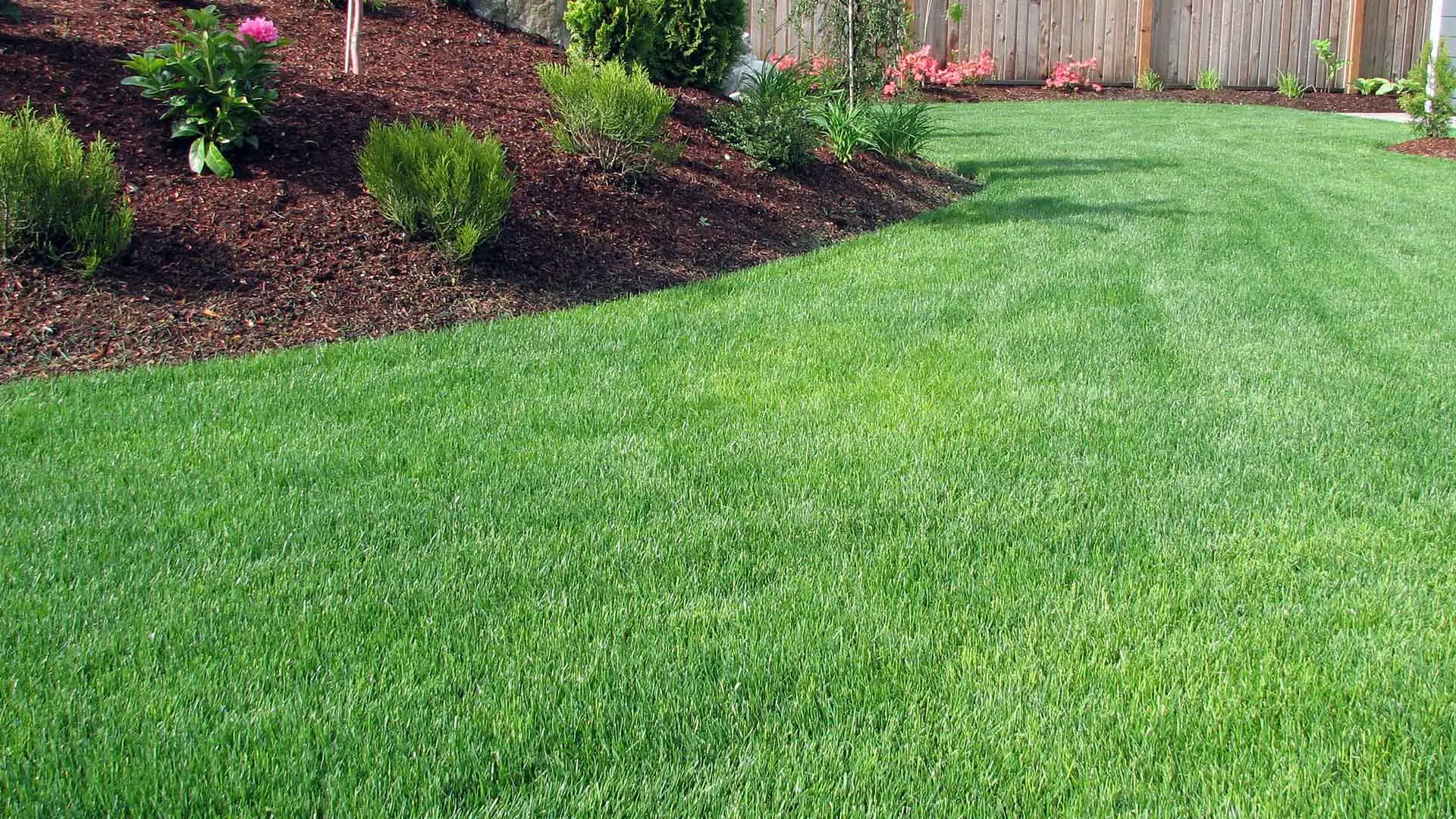 Lawn care and landscaping in Fishers IN