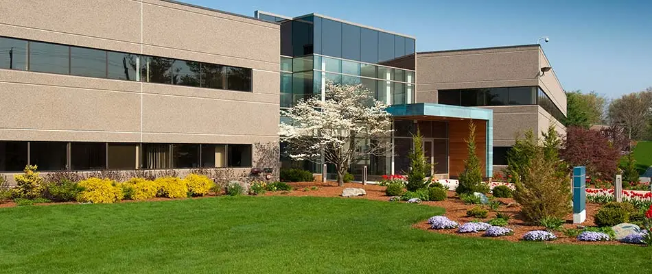 Well-maintained commercial landscaping