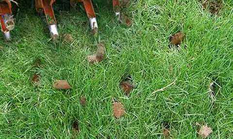 Aeration and overseeding service