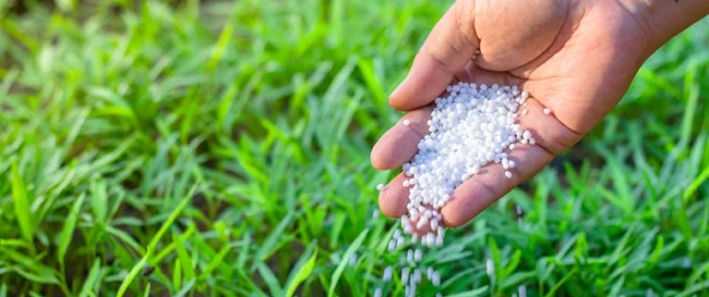 content-fertilizer-being-applied-to-grass_768