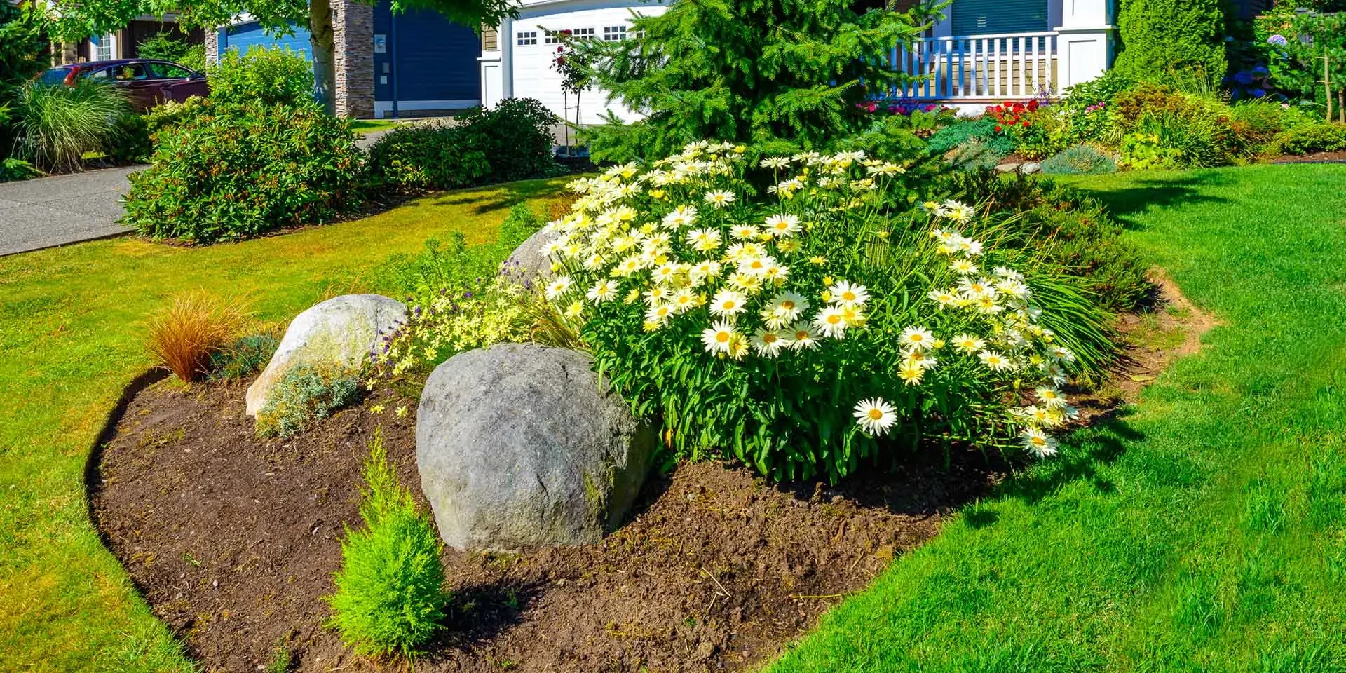 banner-landscape-with-mowed-grass-and-landscape-plantings