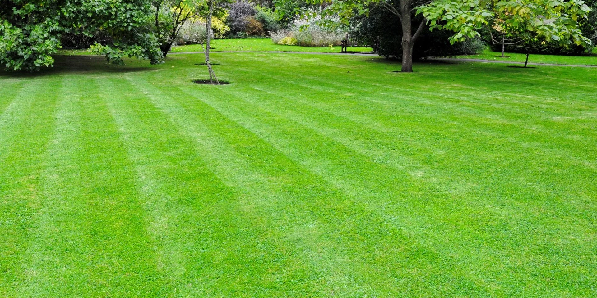 banner-beautiful-green-lawn