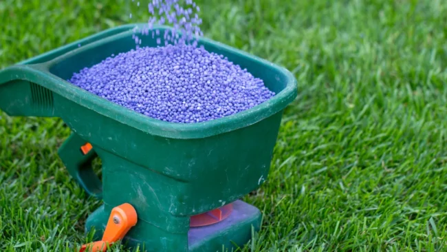 banner-granular-fertilizer-in-a-spreader