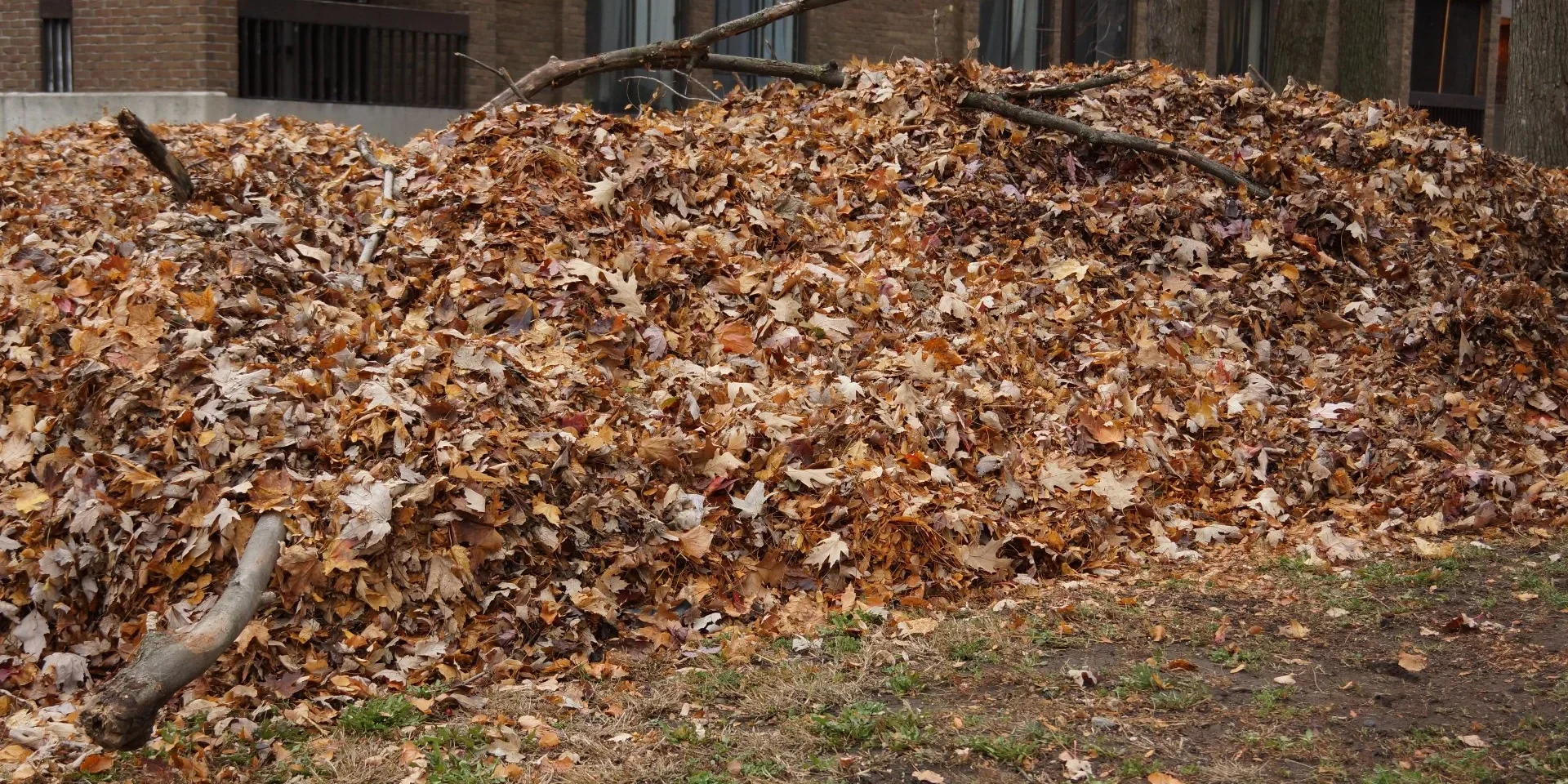 banner-leaf-piles