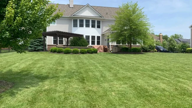 banner-maintained-lawn