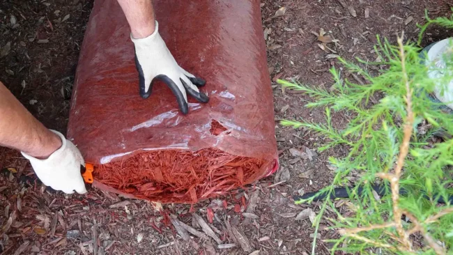 banner-professional-cutting-open-a-mulch-bag-to-replenish-landscape-bed