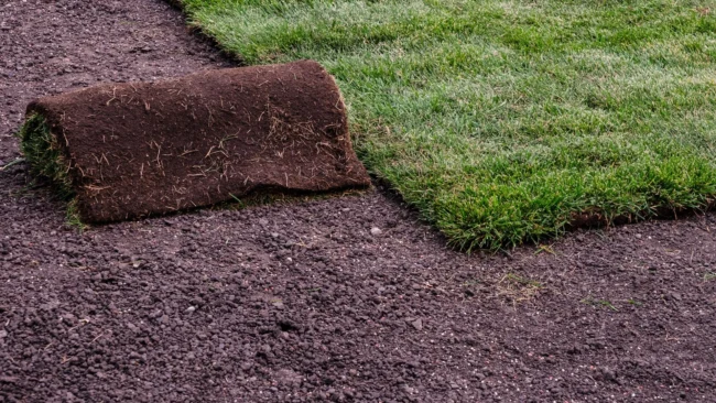 banner-sod-in-process-of-being-installed