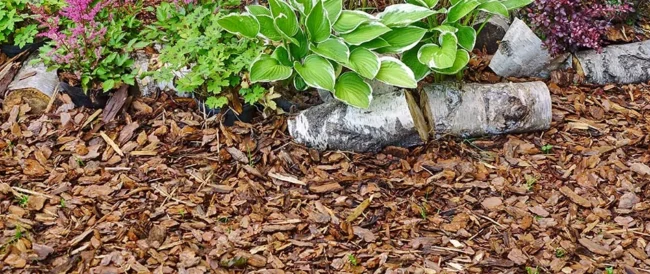 blog-banner-mulch