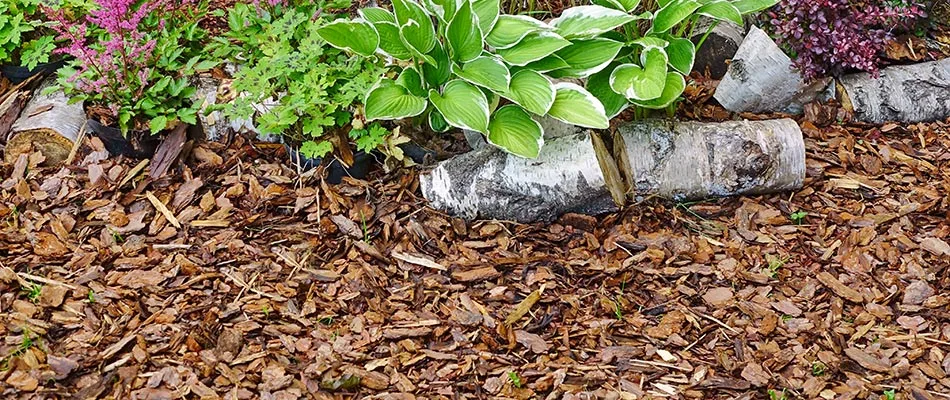 blog-banner-mulch