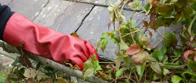 blog-cleaning-out-gutters