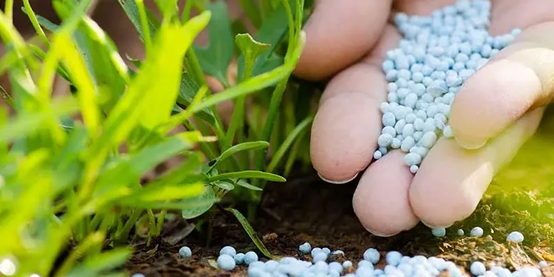 blog-fertilizer-on-ground