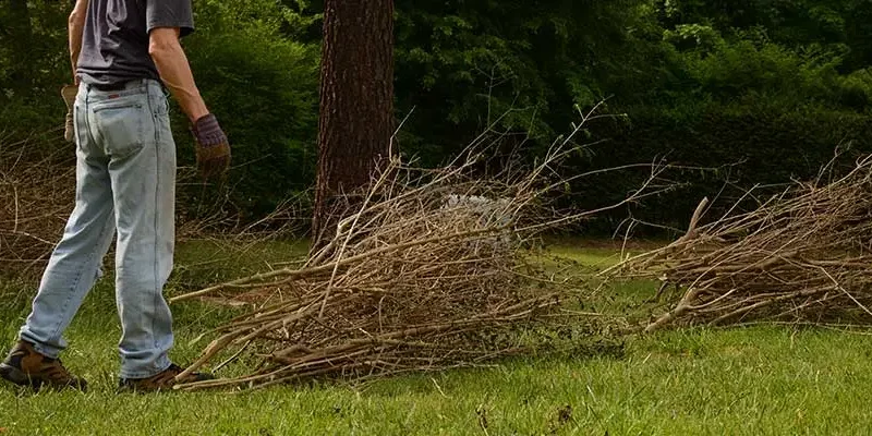 blog-removing-yard-debris