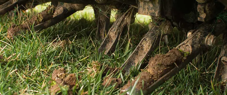 content-aeration-machine