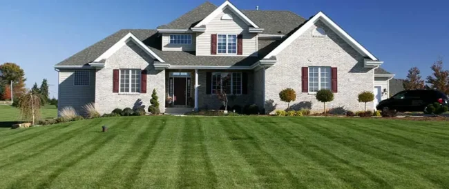 content-lawn-with-mowing-stripes